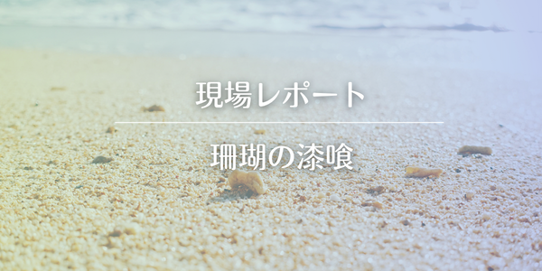 【現場レポ】珊瑚の漆喰の施工が始まります。