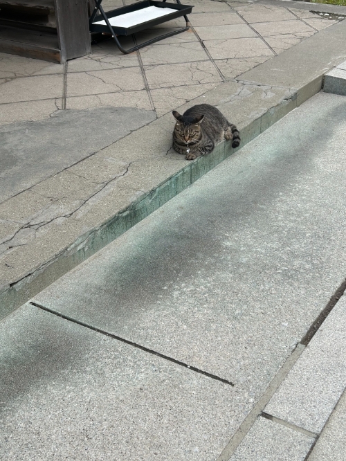 2026081707.jpg