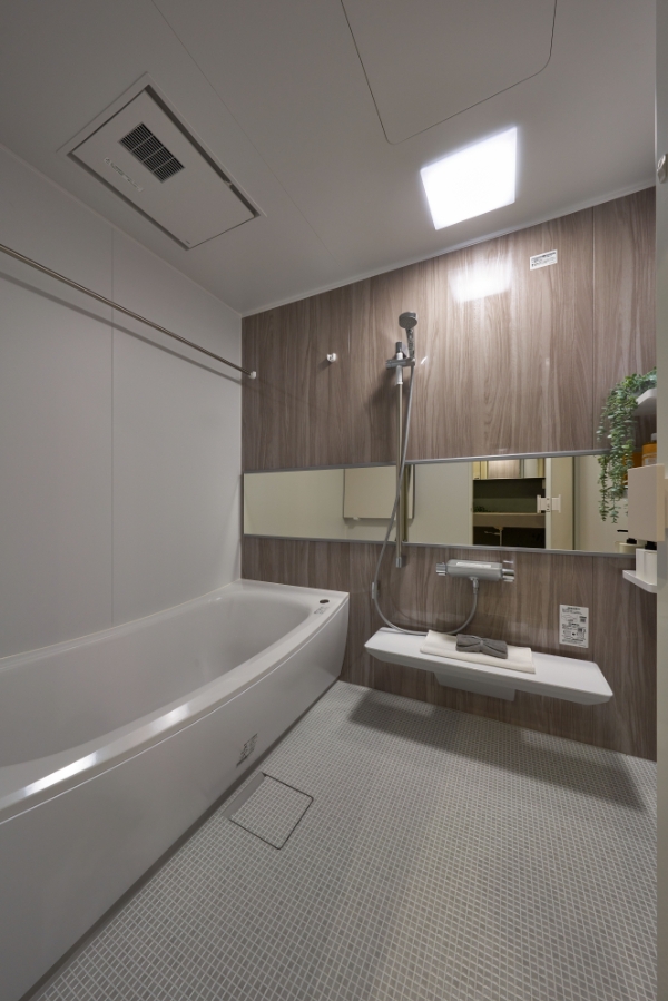 cs-bathroom01.jpg