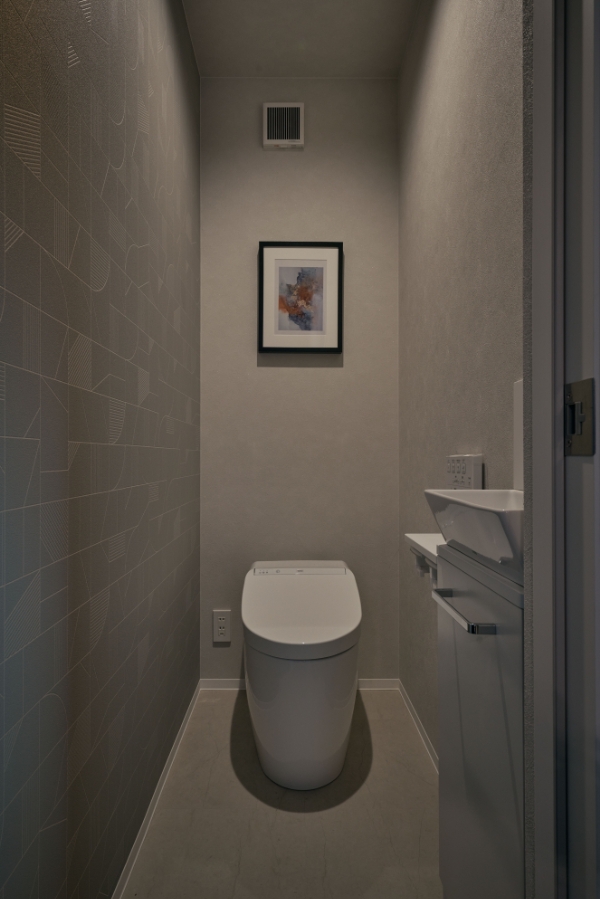 cs-toilet01.jpg